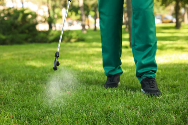 Best Wasp Removal Services  in Aldine, TX