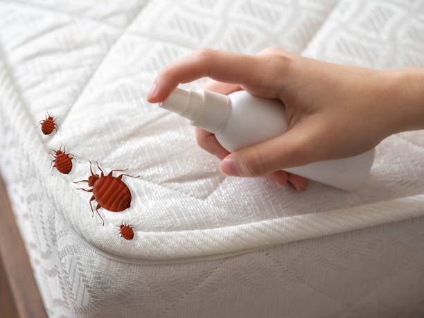 Best Commercial Pest Control Services  in Aldine, TX