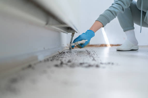 Best Cockroach Control Services  in Aldine, TX