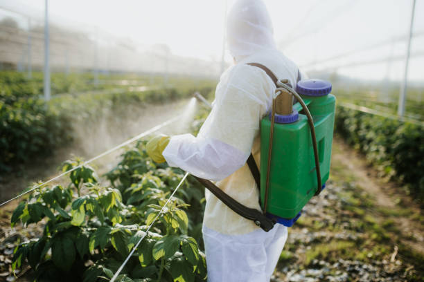 Best Best Pest Control Companies  in Aldine, TX